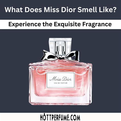 youtube miss dior|what does Miss Dior perfume smell like.